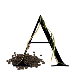 Ambrette Firabs Media